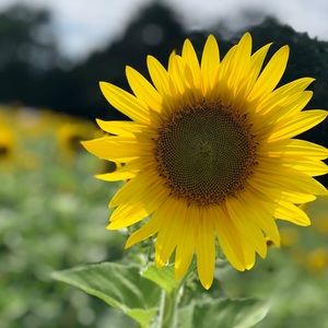 Meet your Posher, Lynne